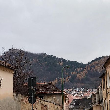 Golden Greens Studio - Mountain Scenery Brasov Exterior photo